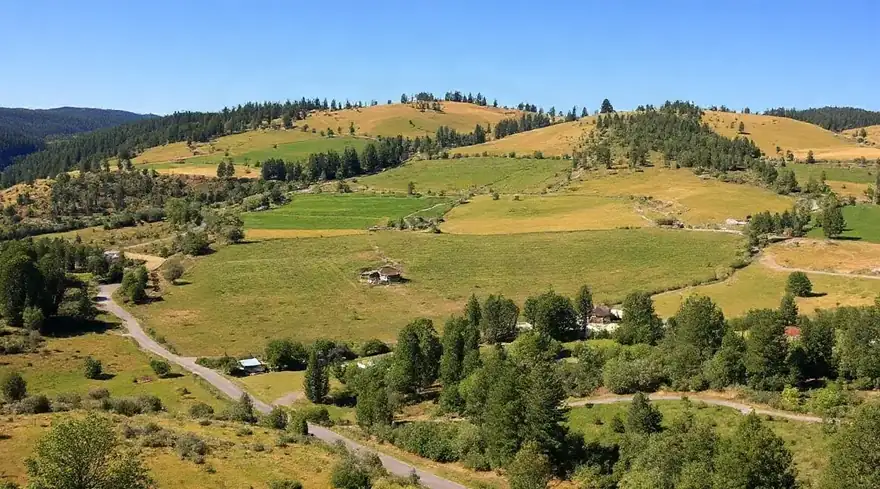 Rolling green hills with fields and a small road winding through them