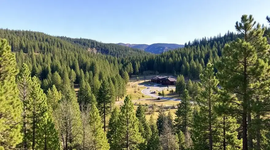 Wide forested valley seen from above, with dense pines and a small clearing in the middle
